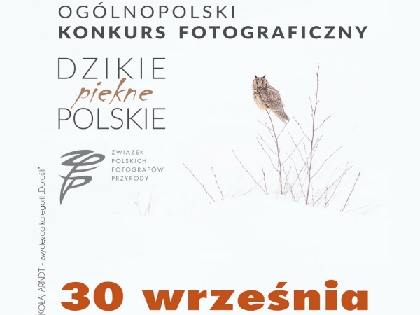 Konkurs fotograficzny Dzikie, piękne, polskie