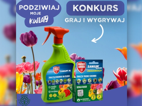 Konkurs Seezon Podziwiaj moje kwiaty