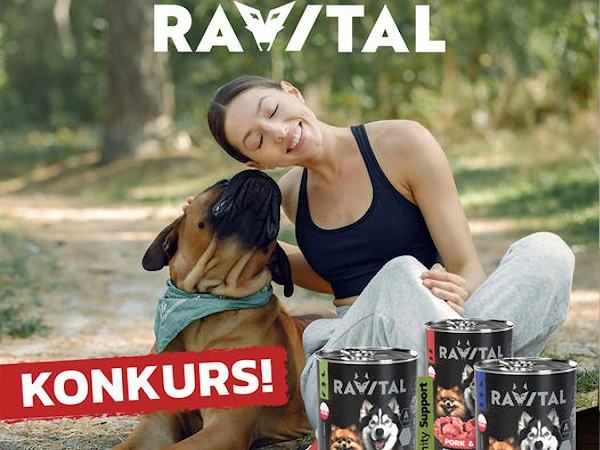 Konkurs Ravital Spacer z psem