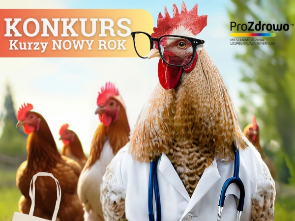 Konkurs na Facebooku Kurzy Nowy Rok