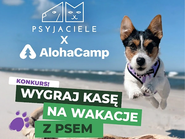 Konkurs Psyjaciele Kasa na wakacje z psem