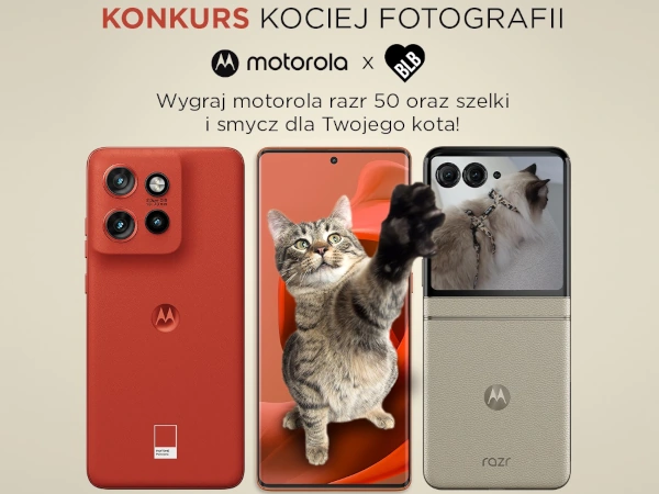 Konkurs kociej fotografii Motorola na Instagramie