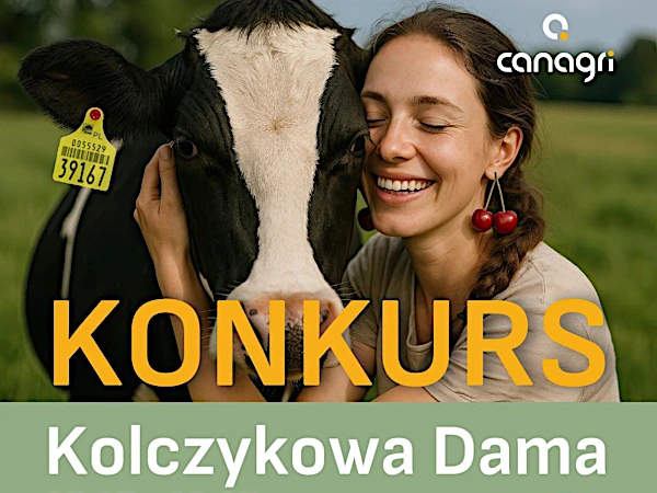 konkurs-kolczykowa-dama-canagri Konkurs Canagri na Facebooku Kolczykowa dama