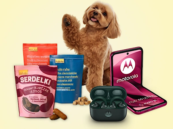 Konkurs na Instagramie Na Dzień Psa