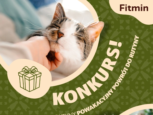 Konkurs Fitmin na Facebooku Powrót do rutyny
