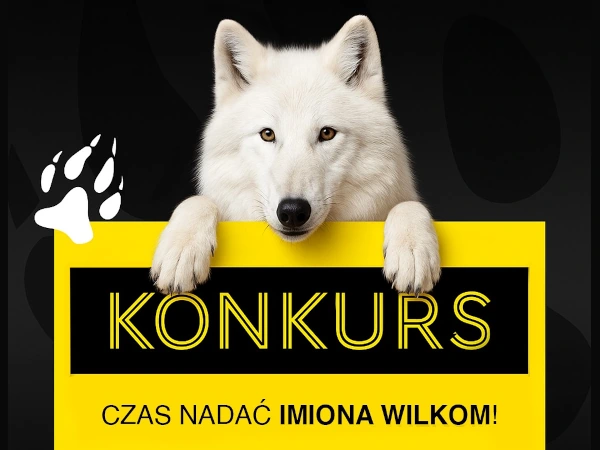 Konkurs na Facebooku Nazwij wilka z K-FLEX