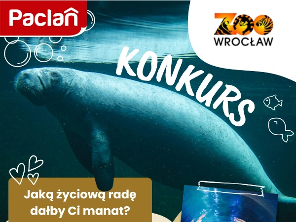 Konkurs Paclan Dzień Manata 2025