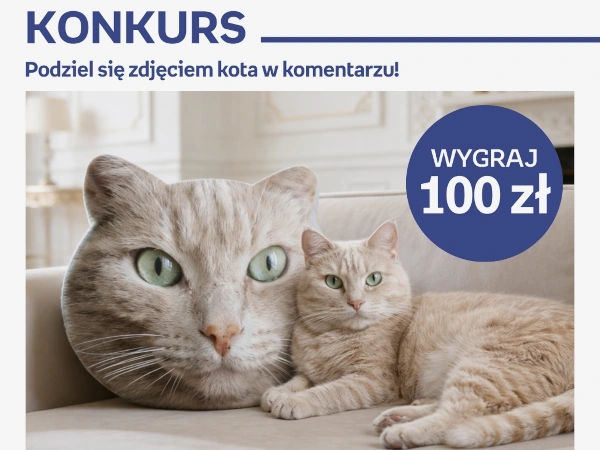 Konkurs Empik na Facebooku Dzień kota