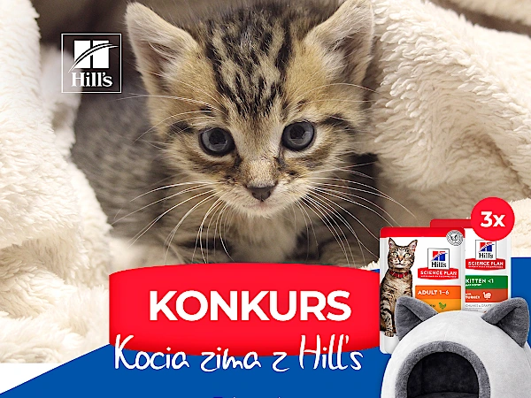 Konkurs na Facebooku Kocia zima z Hill’s