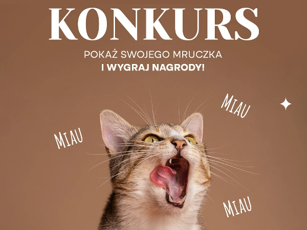 Konkurs na Facebooku Dzień kota 2026
