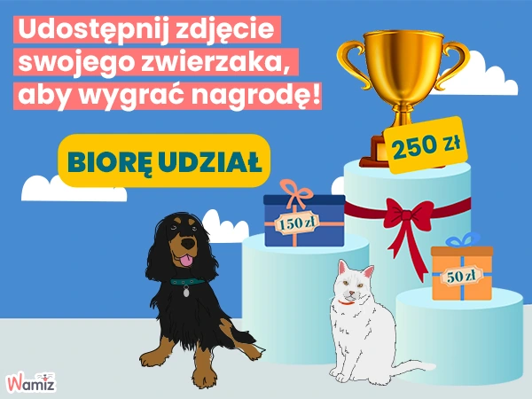 Konkurs fotograficzny Pupil miesiąca Wamiz