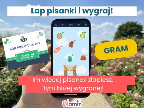 Konkurs Wamiz Polowanie na pisanki