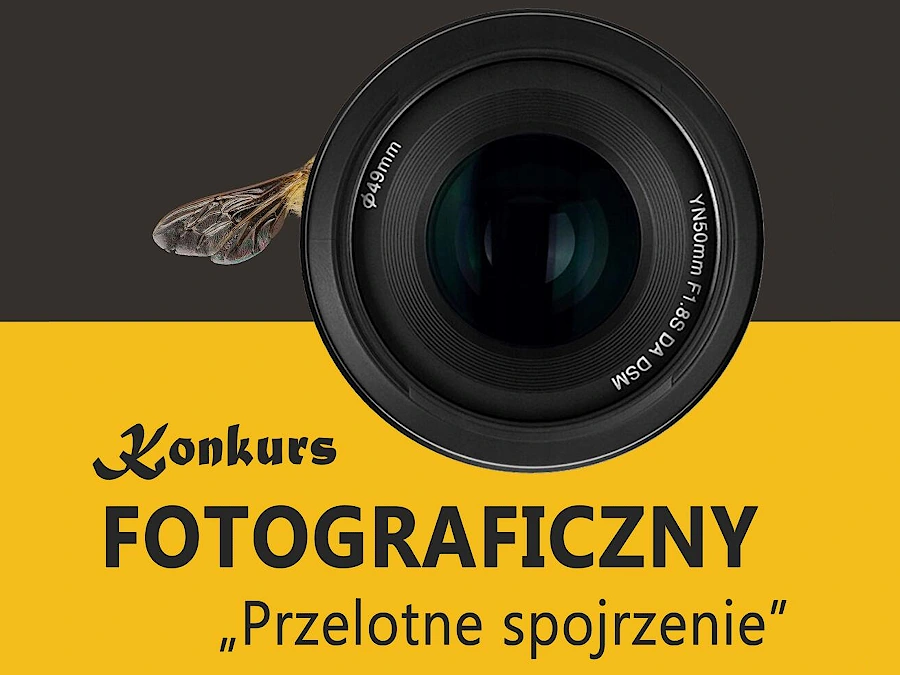 Konkurs fotograficzny Przelotne spojrzenie