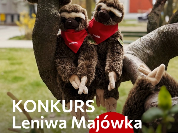 Konkurs na Instagramie Leniwa Majówka z Mobiletem
