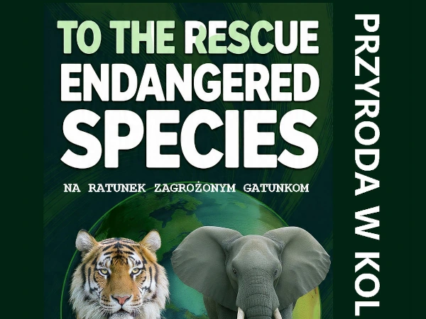 Konkurs plastyczny Przyroda w kolorach 2026