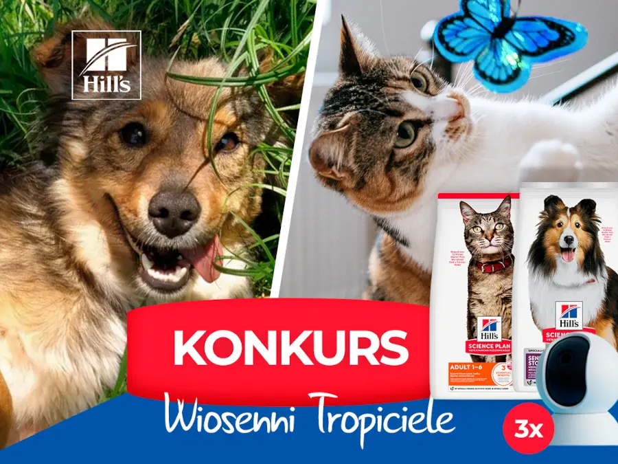 Konkurs na Facebooku Wiosenni Tropiciele