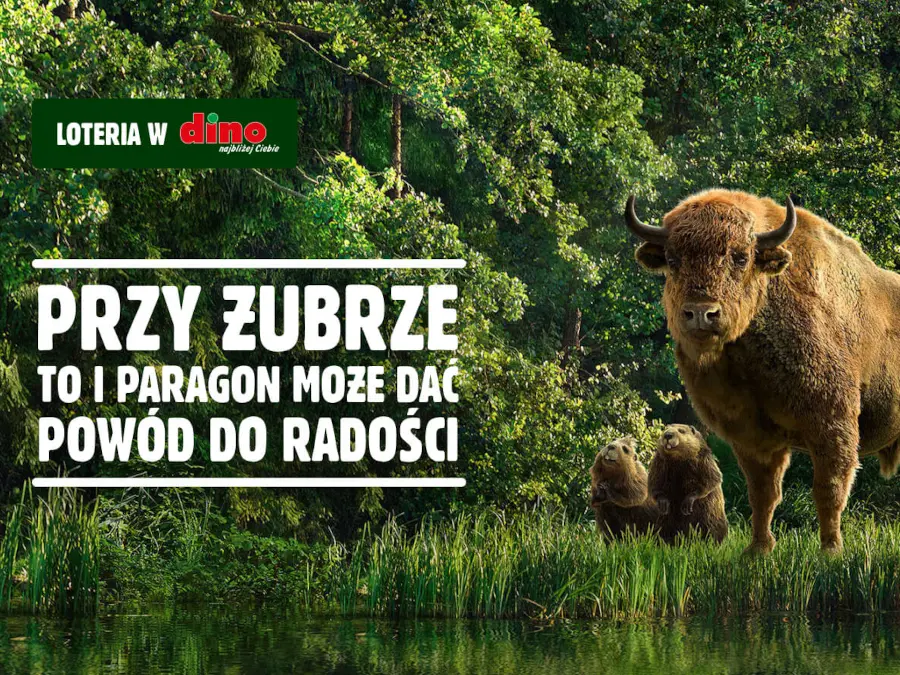 Loteria w Dino Rok zakupów od Żubra