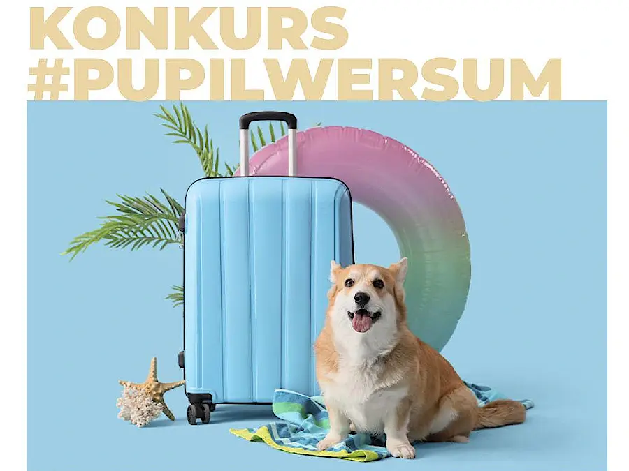 Konkurs Dolina Noteci na Facebooku #Pupilwersum